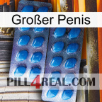 Großer Penis viagra2